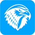 falc10.com